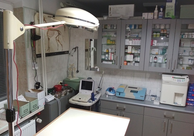 gabinet weterynaryjny