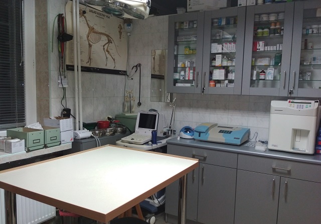 gabinet weterynaryjny